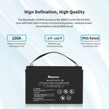 Load image into Gallery viewer, Renogy 12V 100Ah Lithium Iron Phosphate Battery w/ Bluetooth
