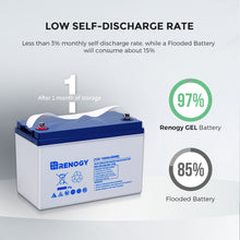 Load image into Gallery viewer, Renogy Deep Cycle Hybrid GEL Battery 12 Volt 100Ah

