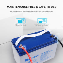Load image into Gallery viewer, Renogy Deep Cycle Hybrid GEL Battery 12 Volt 100Ah
